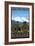 Mountain Bike - Boulder, Colorado, c.2009-Lantern Press-Framed Art Print