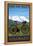 Mountain Bike - Colorado-Lantern Press-Framed Stretched Canvas