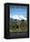 Mountain Bike - Colorado-Lantern Press-Framed Stretched Canvas