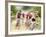 Mountain Bike Race, Bannockburn, near Cromwell, Central Otago, South Island, New Zealand-David Wall-Framed Photographic Print