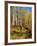 Mountain Bike Race, Methow Valley, Washington State, USA-David Barnes-Framed Photographic Print