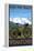 Mountain Bike Scene - Wenatchee, WA-Lantern Press-Framed Stretched Canvas