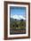 Mountain Bike Scene - Wenatchee, WA-Lantern Press-Framed Art Print