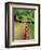 Mountain Bike Trail Riding-Chuck Haney-Framed Photographic Print