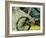 Mountain Bike-Sisa Jasper-Framed Art Print