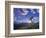 Mountain Biker at Sunset, Canmore, Alberta, Canada-Chuck Haney-Framed Photographic Print