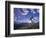 Mountain Biker at Sunset, Canmore, Alberta, Canada-Chuck Haney-Framed Photographic Print