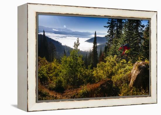 Mountain Biker Descends The Fuzzy Bunny Trail On Teton Pass Near Wilson, Wyoming-Jay Goodrich-Framed Premier Image Canvas