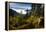 Mountain Biker Descends The Fuzzy Bunny Trail On Teton Pass Near Wilson, Wyoming-Jay Goodrich-Framed Premier Image Canvas