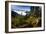 Mountain Biker Descends The Fuzzy Bunny Trail On Teton Pass Near Wilson, Wyoming-Jay Goodrich-Framed Photographic Print