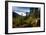 Mountain Biker Descends The Fuzzy Bunny Trail On Teton Pass Near Wilson, Wyoming-Jay Goodrich-Framed Photographic Print