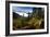 Mountain Biker Descends The Fuzzy Bunny Trail On Teton Pass Near Wilson, Wyoming-Jay Goodrich-Framed Photographic Print