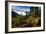 Mountain Biker Descends The Fuzzy Bunny Trail On Teton Pass Near Wilson, Wyoming-Jay Goodrich-Framed Photographic Print