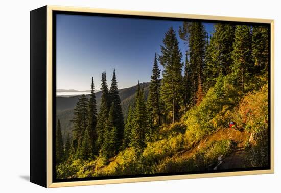 Mountain Biker Descends The Fuzzy Bunny Trail On Teton Pass Near Wilson, Wyoming-Jay Goodrich-Framed Premier Image Canvas