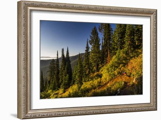 Mountain Biker Descends The Fuzzy Bunny Trail On Teton Pass Near Wilson, Wyoming-Jay Goodrich-Framed Photographic Print