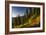 Mountain Biker Descends The Fuzzy Bunny Trail On Teton Pass Near Wilson, Wyoming-Jay Goodrich-Framed Photographic Print