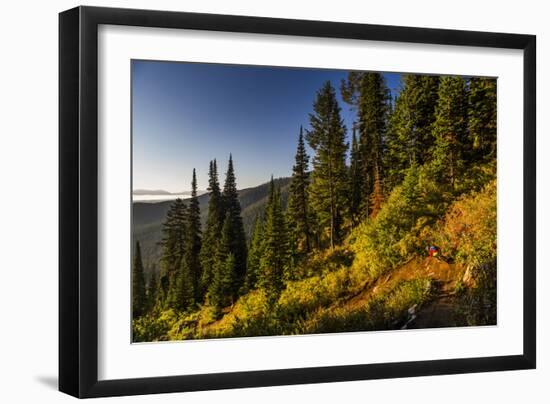 Mountain Biker Descends The Fuzzy Bunny Trail On Teton Pass Near Wilson, Wyoming-Jay Goodrich-Framed Photographic Print