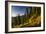 Mountain Biker Descends The Fuzzy Bunny Trail On Teton Pass Near Wilson, Wyoming-Jay Goodrich-Framed Photographic Print