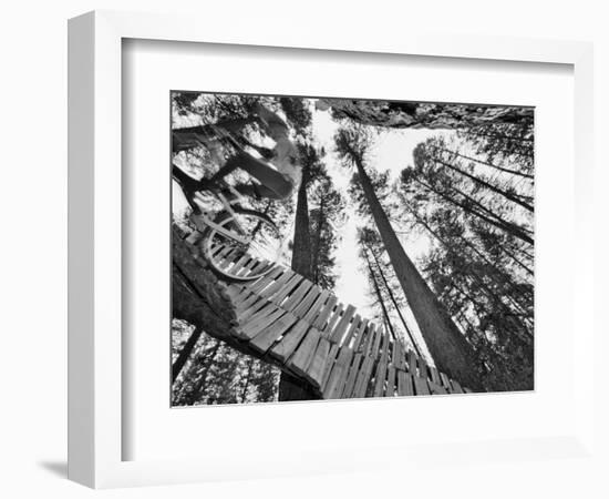 Mountain Biker on Malice in Plunderland Trail, Spencer Mountain, Whitefish, Montana, USA-Chuck Haney-Framed Photographic Print