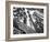 Mountain Biker on Malice in Plunderland Trail, Spencer Mountain, Whitefish, Montana, USA-Chuck Haney-Framed Photographic Print