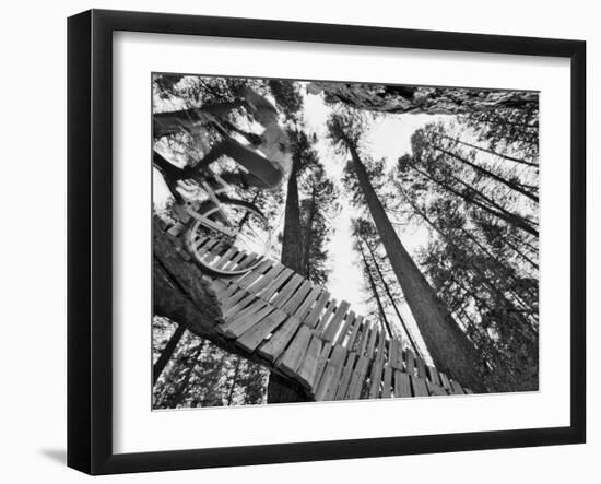 Mountain Biker on Malice in Plunderland Trail, Spencer Mountain, Whitefish, Montana, USA-Chuck Haney-Framed Photographic Print