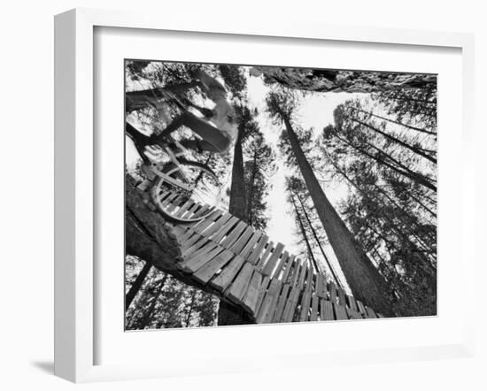 Mountain Biker on Malice in Plunderland Trail, Spencer Mountain, Whitefish, Montana, USA-Chuck Haney-Framed Photographic Print