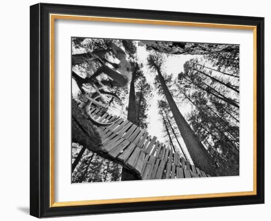 Mountain Biker on Malice in Plunderland Trail, Spencer Mountain, Whitefish, Montana, USA-Chuck Haney-Framed Photographic Print