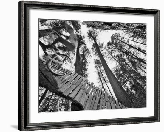 Mountain Biker on Malice in Plunderland Trail, Spencer Mountain, Whitefish, Montana, USA-Chuck Haney-Framed Photographic Print