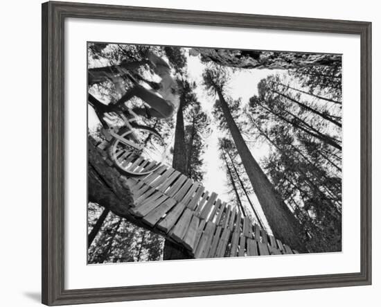 Mountain Biker on Malice in Plunderland Trail, Spencer Mountain, Whitefish, Montana, USA-Chuck Haney-Framed Photographic Print