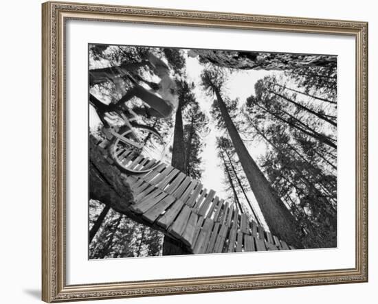 Mountain Biker on Malice in Plunderland Trail, Spencer Mountain, Whitefish, Montana, USA-Chuck Haney-Framed Photographic Print