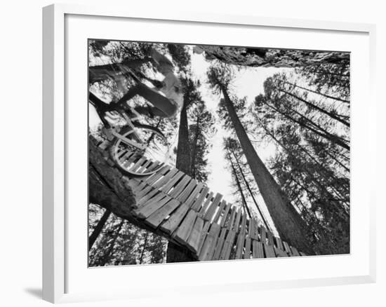 Mountain Biker on Malice in Plunderland Trail, Spencer Mountain, Whitefish, Montana, USA-Chuck Haney-Framed Photographic Print