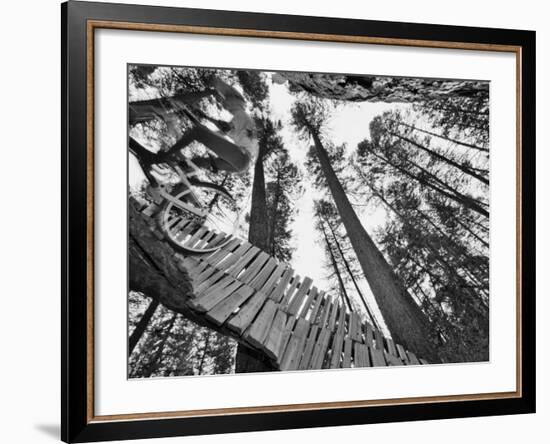 Mountain Biker on Malice in Plunderland Trail, Spencer Mountain, Whitefish, Montana, USA-Chuck Haney-Framed Photographic Print