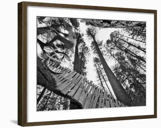 Mountain Biker on Malice in Plunderland Trail, Spencer Mountain, Whitefish, Montana, USA-Chuck Haney-Framed Photographic Print