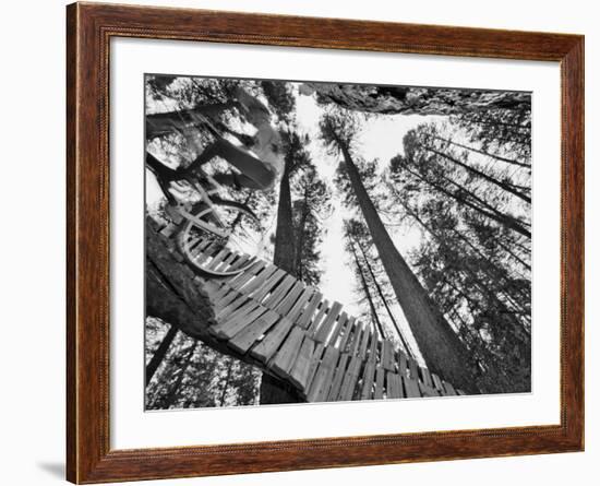 Mountain Biker on Malice in Plunderland Trail, Spencer Mountain, Whitefish, Montana, USA-Chuck Haney-Framed Photographic Print