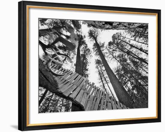 Mountain Biker on Malice in Plunderland Trail, Spencer Mountain, Whitefish, Montana, USA-Chuck Haney-Framed Photographic Print