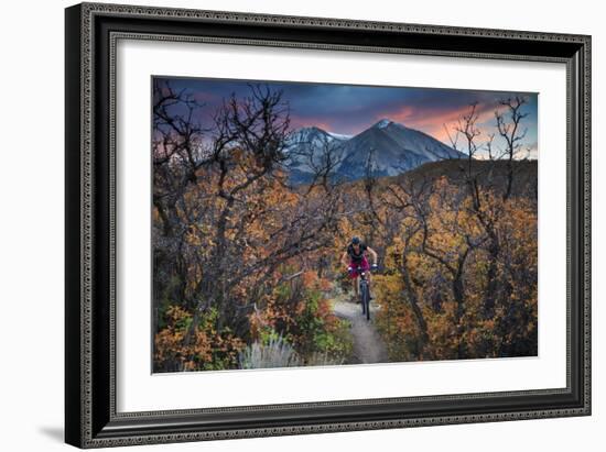 Mountain Biker Rides Through Gamble's Oak In Carbondale Colorado During Peak Autumn Color-Jay Goodrich-Framed Photographic Print