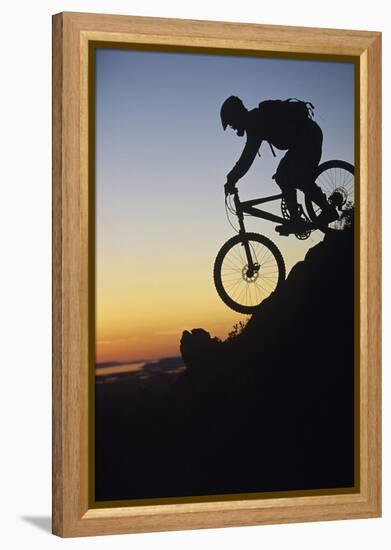 Mountain Biker Riding Down Slope-null-Framed Stretched Canvas