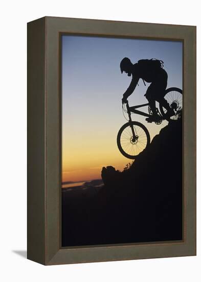 Mountain Biker Riding Down Slope-null-Framed Stretched Canvas