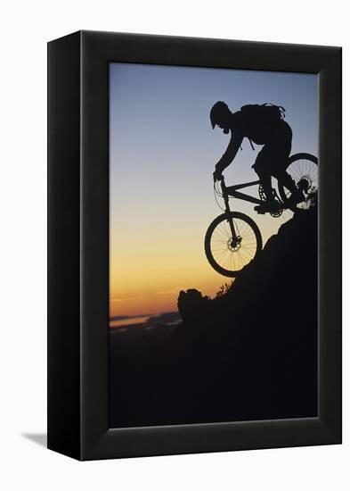 Mountain Biker Riding Down Slope-null-Framed Stretched Canvas