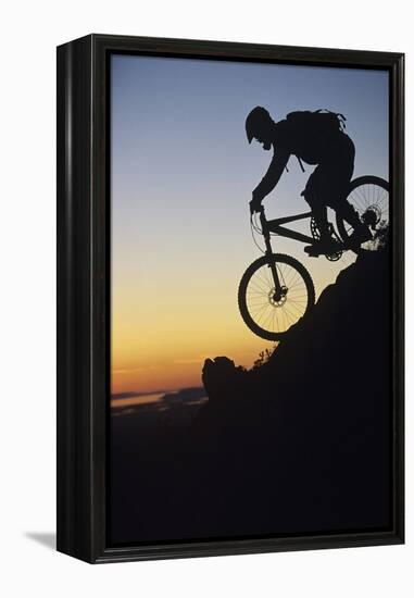 Mountain Biker Riding Down Slope-null-Framed Stretched Canvas