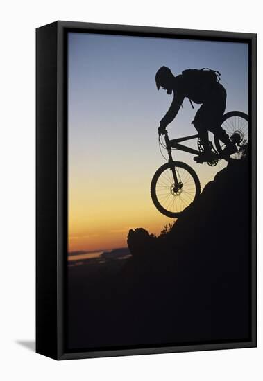 Mountain Biker Riding Down Slope-null-Framed Stretched Canvas