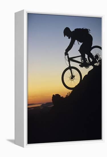 Mountain Biker Riding Down Slope-null-Framed Stretched Canvas