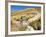 Mountain Bikers, Carrick Track, Carrick Range, Central Otago, South Island, New Zealand-David Wall-Framed Photographic Print