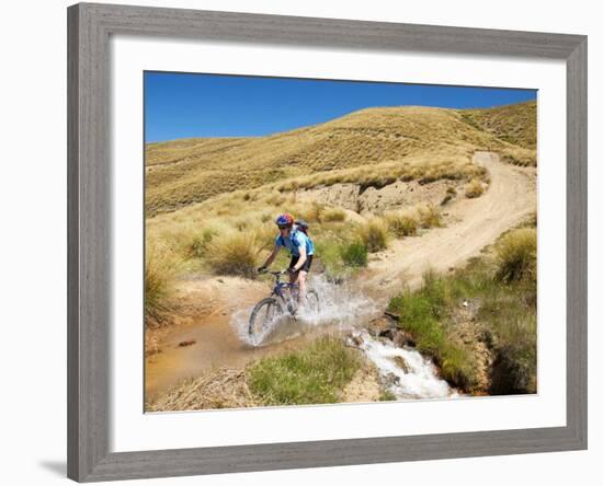 Mountain Bikers, Carrick Track, Carrick Range, Central Otago, South Island, New Zealand-David Wall-Framed Photographic Print