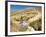 Mountain Bikers, Carrick Track, Carrick Range, Central Otago, South Island, New Zealand-David Wall-Framed Photographic Print