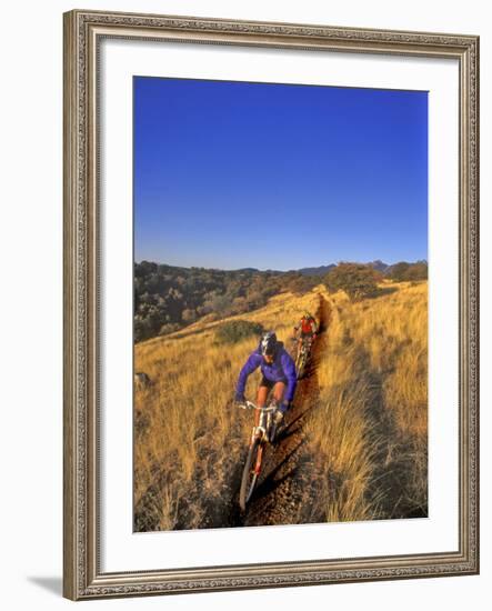 Mountain Bikers on the Arizona Trail, USA-Chuck Haney-Framed Photographic Print