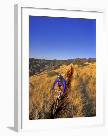 Mountain Bikers on the Arizona Trail, USA-Chuck Haney-Framed Photographic Print