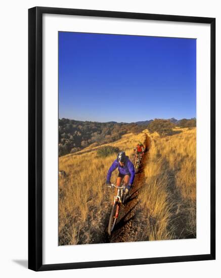 Mountain Bikers on the Arizona Trail, USA-Chuck Haney-Framed Photographic Print