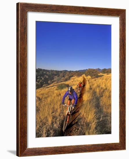 Mountain Bikers on the Arizona Trail, USA-Chuck Haney-Framed Photographic Print