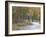 Mountain Bikers on the Slickrock of Dupont State Forest in North Carolina, USA-Chuck Haney-Framed Photographic Print